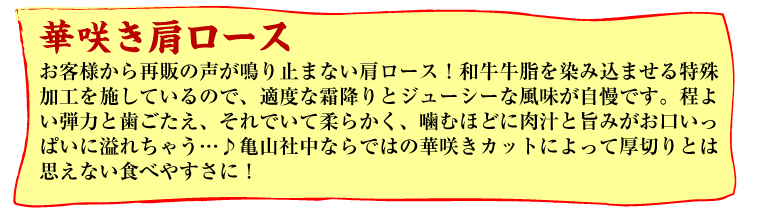 華咲きカタロース