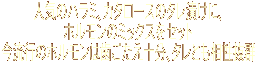 人気のハラミ、カタロースのタレ漬けに、 ホルモンのミックスをセット 今流行のホルモンは歯ごたえ十分、タレとも相性抜群 